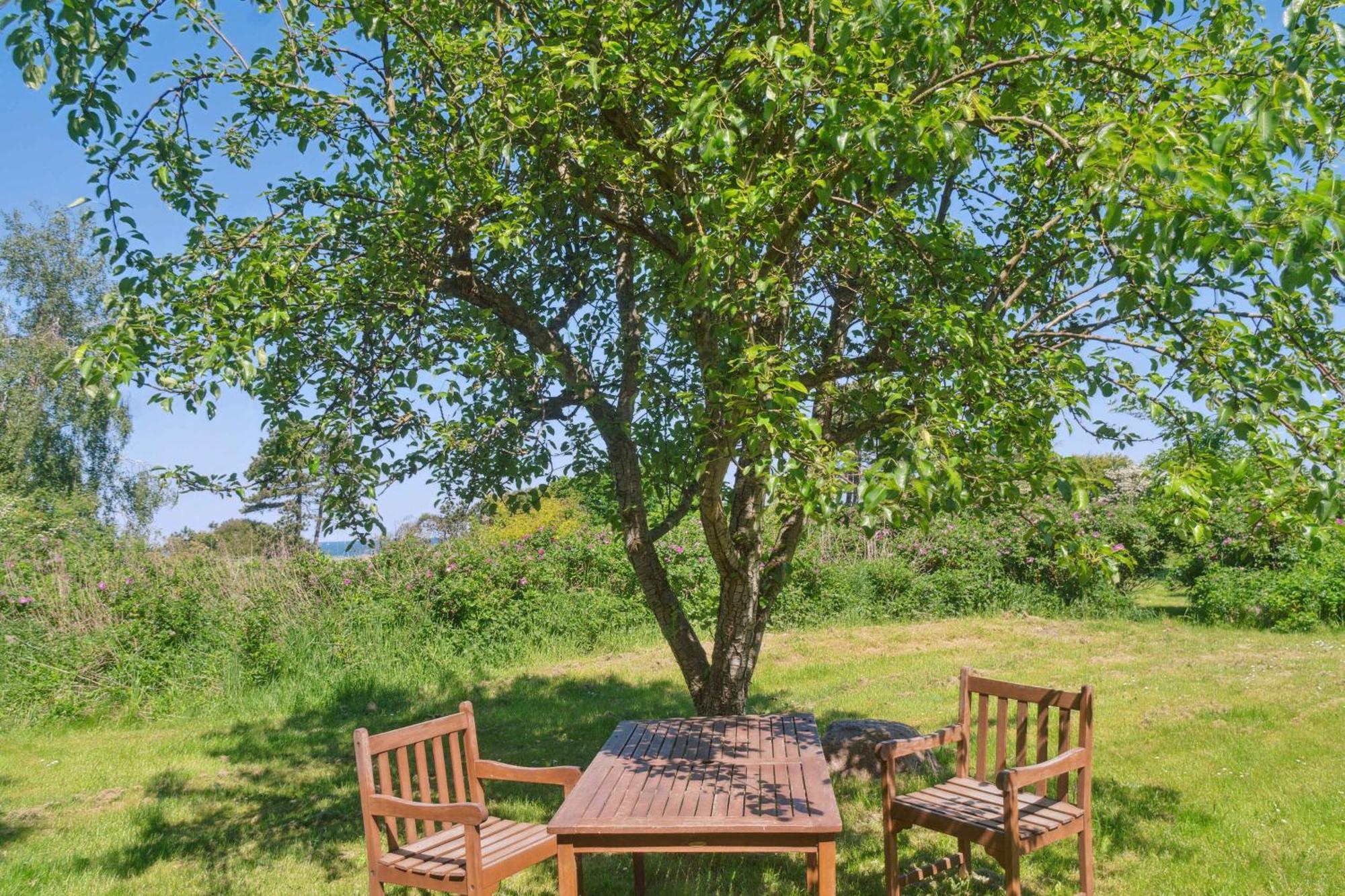 Idyllic Coastal Cottage Comfort And Relaxing Kalundborg Buitenkant foto